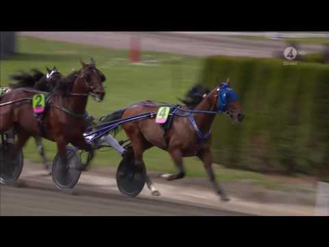 Elitloppet 2016, försök 1, Timoko