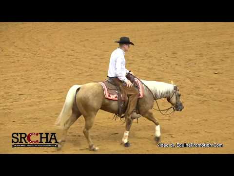 SJR Diamond Suzanne shown by Clay Volmer - 2019 SRCHA Pre-Futurity (Rein - Open Futurity)