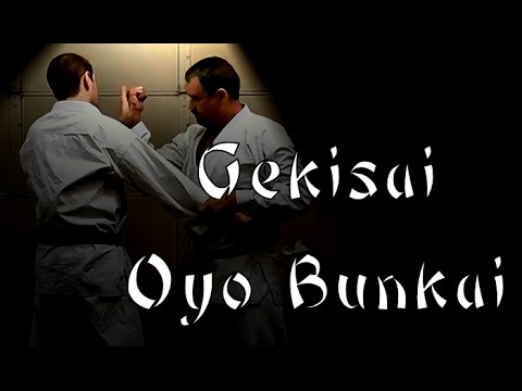 Waza Wednesday 10-28-15 - Ryan Parker's Gekisai Oyo Bunkai