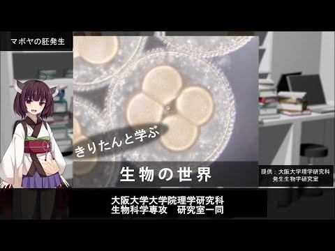 きりたんと学ぶ生物の世界（理学部・理学研究科）