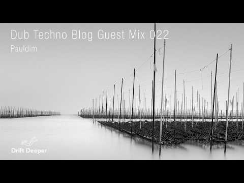 Dub Techno Blog Guest Mix 022 - Pauldim