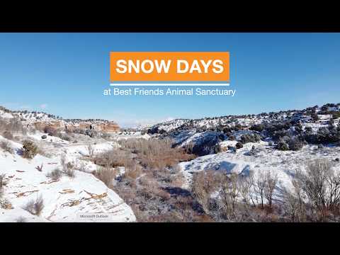 Winter wonderland at Best Friends Animal Sanctuary