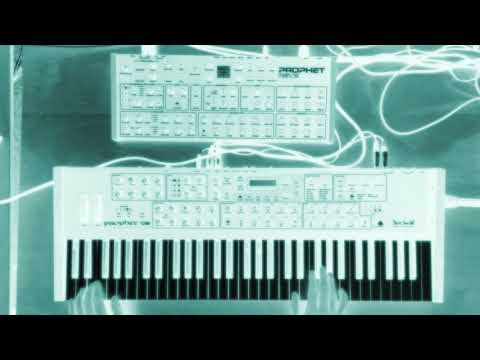 Demo :: DSI Rev2 + Midiverb II :: Ambient