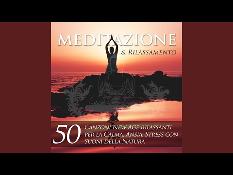 Meditazione: Terme e SPA