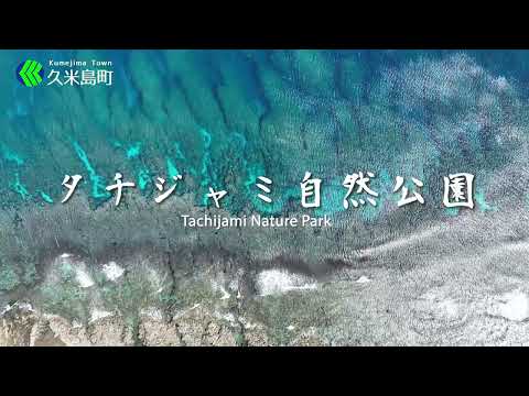 タチジャミ自然公園/Tachijami Nature Park