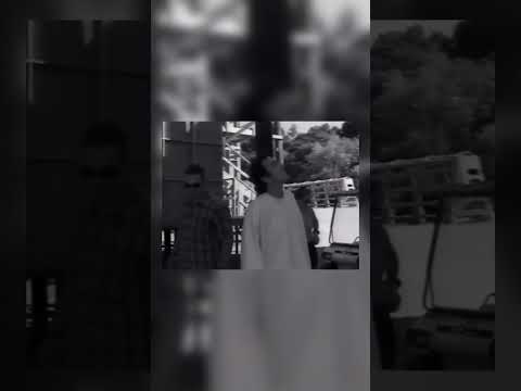 Jim Carrey’s Prank on Norm Macdonald Turns a Casual Lunch into an Unforgettable Moment