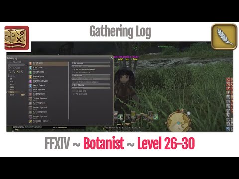 FFXIV Botanist Gathering Log Level 26-30 - A Realm Reborn