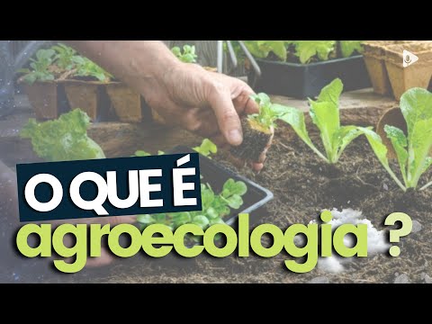 WHAT IS AGROECOLOGY?