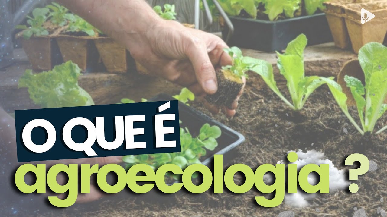 O QUE É AGROECOLOGIA?