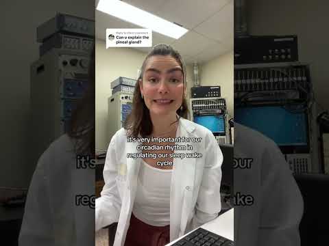 Is the pineal gland the seat of the soul? #neuroscience #science #descartes #pinealglandactivation