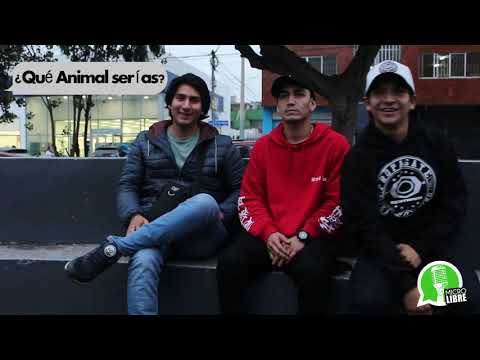 EP. 6 CALERO, MC.AS, ZORT "EL AMOR DE MI VIDA ES M..."  #WhatsLibre