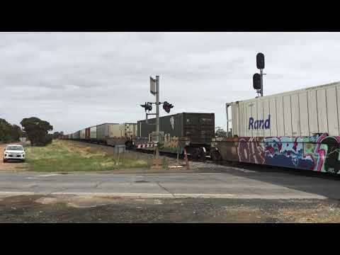 7MP5 NR1 NR19 NR81 pass two wells