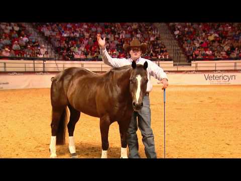 2011 Walkabout Tour with Clinton Anderson