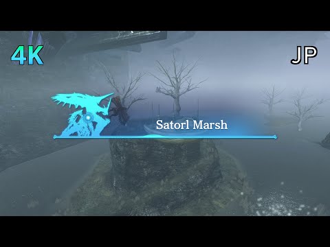 [4K] Xenoblade Chronicles D.E. Cutscene 044 – Enter Satorl Marsh – JAPANESE