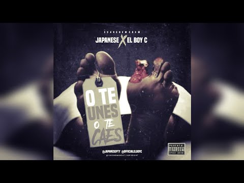 Japanese ❌ El Boy C - O Te Unes O Te Caes | Audio Oficial