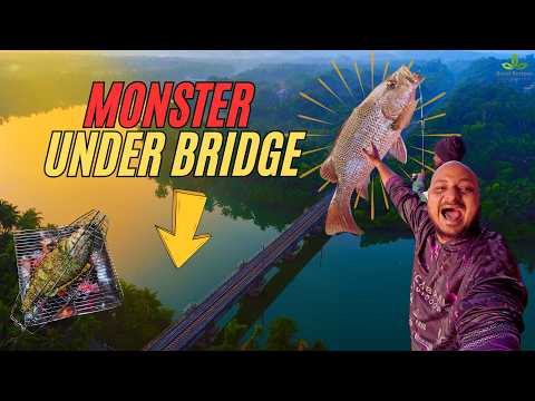 24 Hours Under a Bridge: No Tent, No Gear, Only Fishing