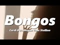 Cardi B - Bongos (feat. Megan Thee Stallion) (bass boosted + reverb)