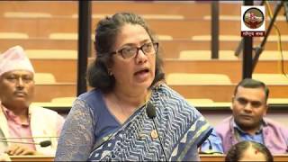 Government should make a separate Act to manage street animals_Dr Bimala Rai Paudyal