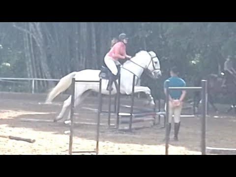 Carinhoso - buscando leveza nos percursos treino # 287