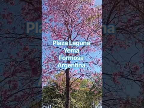 Plaza Localidad Laguna Yema Formosa Argentina
