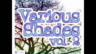Fast Vision Soul - Ayodele (Various Shades Vol.2) - Deeper Shades Rec DSOH025