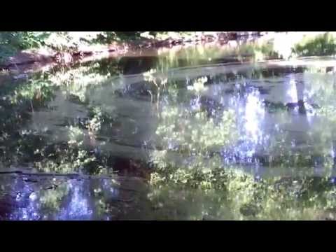 La Citadel,et le bois de Boulogne - de Lille Nord - France