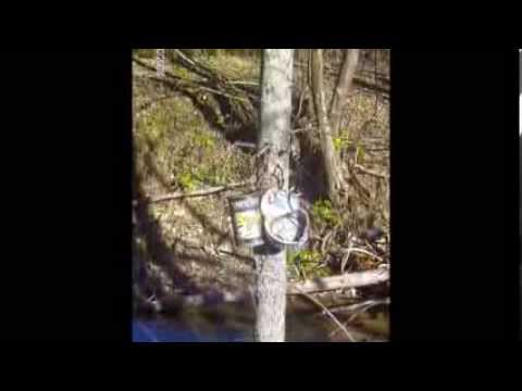 Valea Mare, comuna Sant, Bistrita-Nasaud