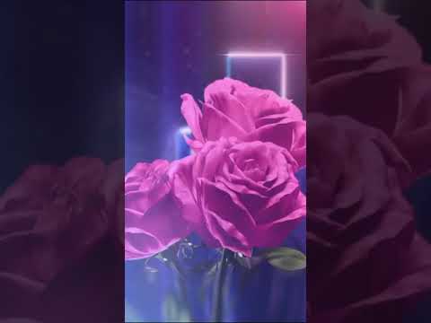 Evoke Midnight Edition For Her - EDP