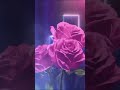 Evoke Midnight Edition For Her - EDP