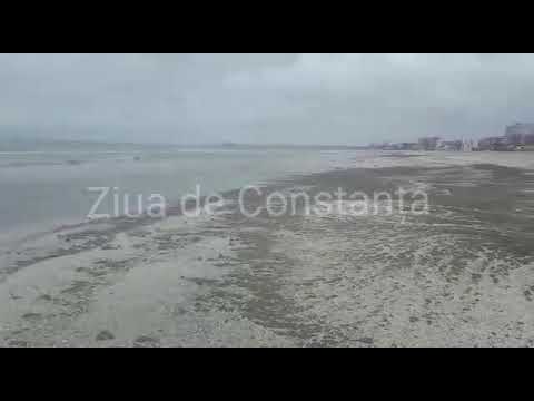Fenomen spectaculos la Mamaia. Marea joacă alba-neagra