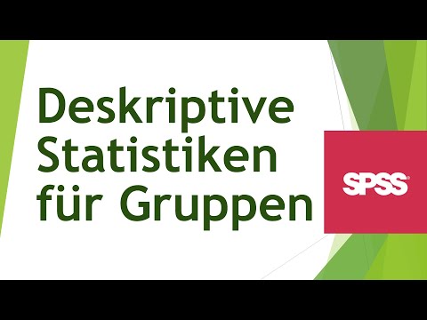 Deskriptive Statistiken für Gruppen in SPSS