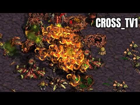 BEST Game of the Month!! | Starcraft Remastered Fastest Map 2022