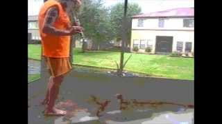 FOR JONI /  Nathan La Franeer /  flute interpretation by dkzk'dankozak