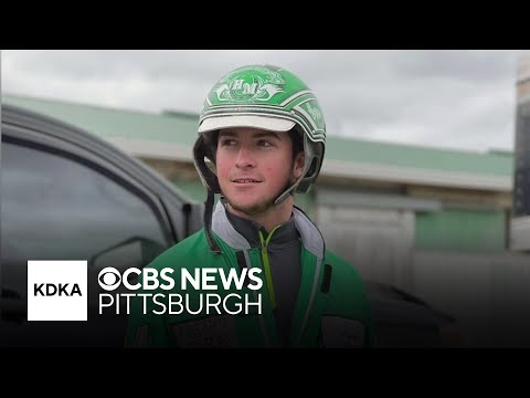 Harness driver dies after horse racing accident at The Meadows