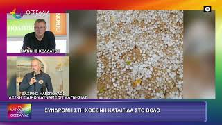 ΣΥΝΔΡΟΜΗ ΣΤΗ ΧΘΕΣΙΝΗ ΚΑΤΑΙΓΙΔΑ ΣΤΟ ΒΟΛΟ_ΒΑΣΙΛΗΣ ΗΛΙΟΠΟΥΛΟΣ 12 10 2026 ΣΥΝΔΡΟΜΗ ΣΤΗ ΧΘΕΣΙΝΗ ΚΑΤΑΙΓΙΔΑ ΣΤΟ ΒΟΛΟ_ΒΑΣΙΛΗΣ ΗΛΙΟΠΟΥΛΟΣ 12 10 2026