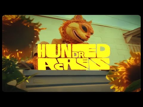 Noname - Hundred Acres ft. Devin Morrison (Official Music Video)