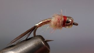 Download lagu Rainbow Warrior mp3