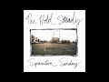 The Hold Steady - Hornets! Hornets!