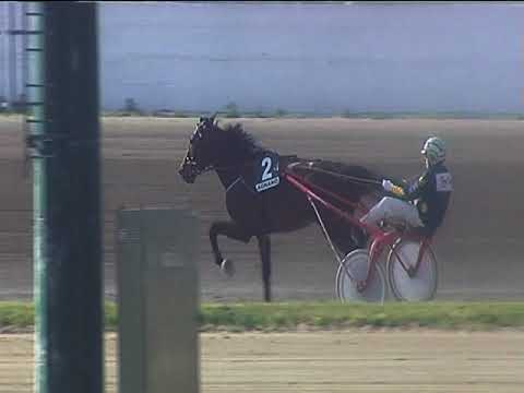 Trotto 29/04/2019 - 6ª corsa