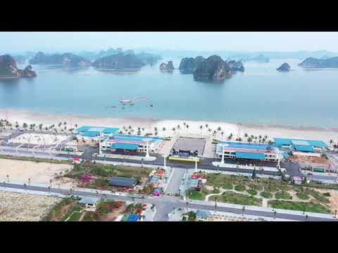 Cần bán lô liền kề dưới đường 58m khu đô thị Phương Đông Vân Đồn