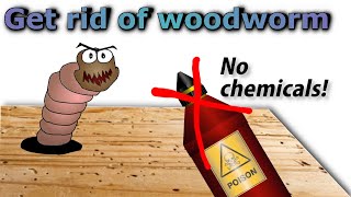 Get rid of woodworm for good (no pesticides)