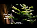 Enna Enna Agiren Song Whatsapp Status Yuvan Love Song Status Suyambu Edits