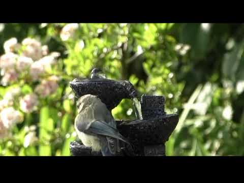 Opwekking 779 Kom zoals je bent