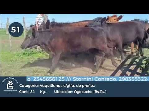 Lote Vq CGP - Ayacucho Bs As