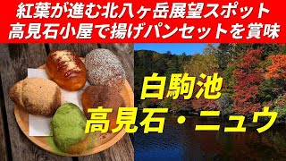 白駒池 → 高見石 → ニュウ 周回コース 紅葉が進む北八ヶ岳の展望スポット 素晴らしい眺望に大満足 高見石小屋名物あげパンは全5種類賞味