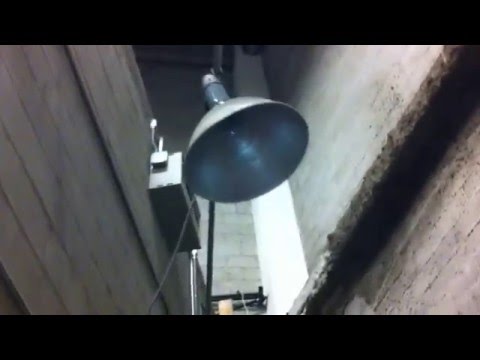 Moving Violations Video No. 116: Wild and Clip Free