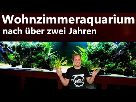 WOHNZIMMERAQUARIUM nach über zwei Jahren I Update und Besatz