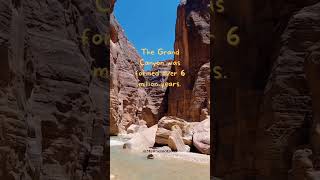 the Grand Canyon... #shorts #facts #curiosity #canyon