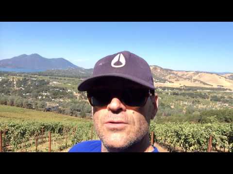 Head High Wines - The History of Madder Lake