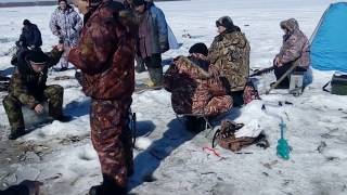 Зимняя рыбалка в шелаболихе алтайского края